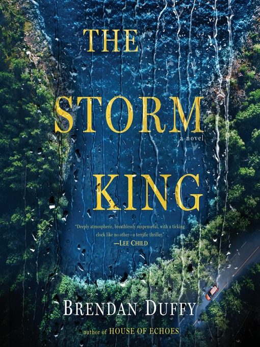 Title details for The Storm King by Brendan Duffy - Available
